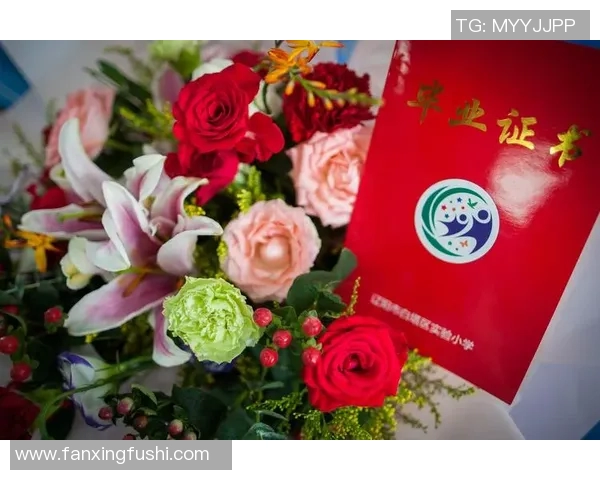 与杨军畅聊王者荣耀职业生涯的点滴与成长之路